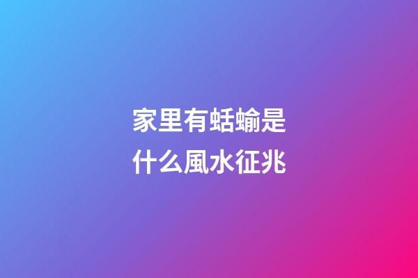 家里有蛞蝓是什么風水征兆