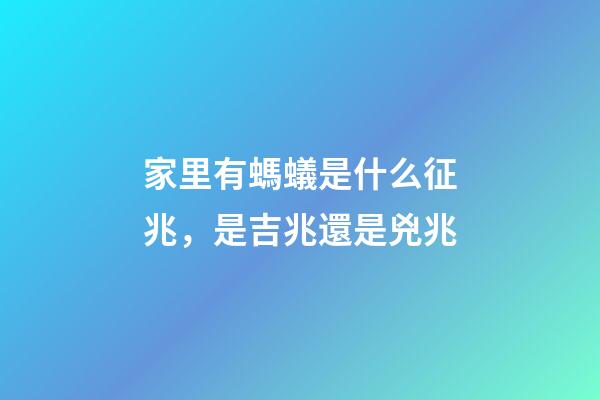 家里有螞蟻是什么征兆，是吉兆還是兇兆