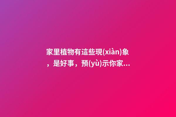 家里植物有這些現(xiàn)象，是好事，預(yù)示你家要發(fā)大財(cái)了！