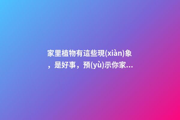 家里植物有這些現(xiàn)象，是好事，預(yù)示你家要發(fā)大財了！