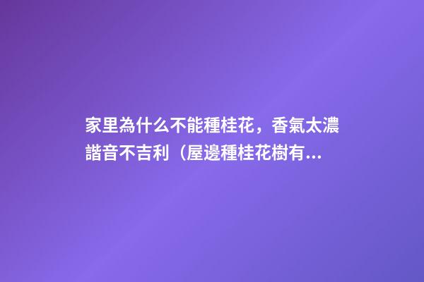 家里為什么不能種桂花，香氣太濃諧音不吉利（屋邊種桂花樹有不吉利的說法嗎）
