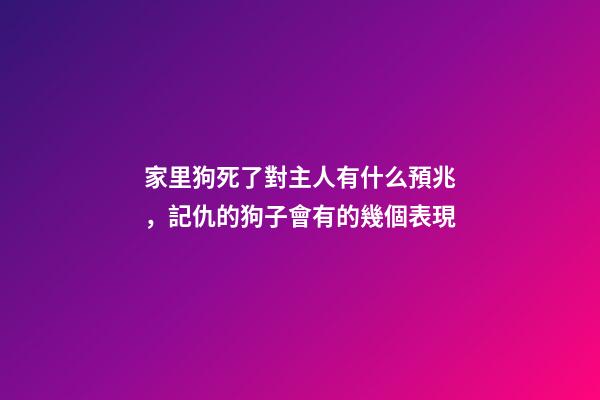 家里狗死了對主人有什么預兆，記仇的狗子會有的幾個表現-第1張-觀點-玄機派