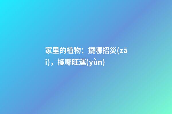 家里的植物：擺哪招災(zāi)，擺哪旺運(yùn)