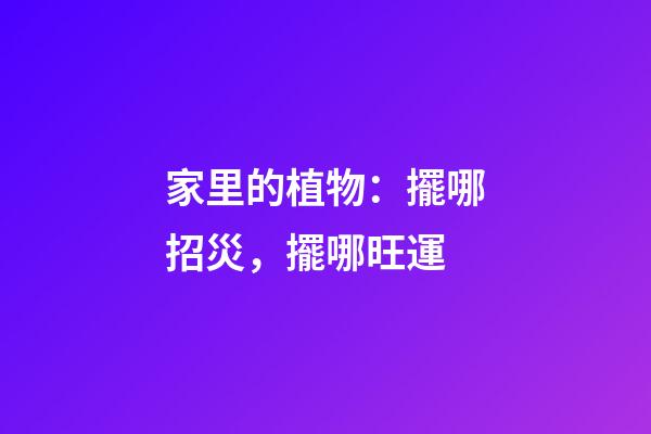 家里的植物：擺哪招災，擺哪旺運