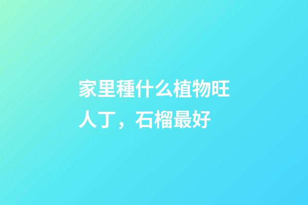 家里種什么植物旺人丁，石榴最好