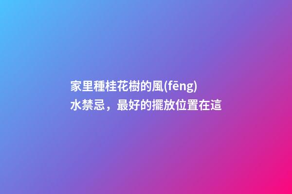 家里種桂花樹的風(fēng)水禁忌，最好的擺放位置在這