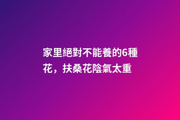 家里絕對不能養的6種花，扶桑花陰氣太重