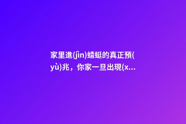 家里進(jìn)蜻蜓的真正預(yù)兆，你家一旦出現(xiàn)這3種現(xiàn)象-第1張-觀點(diǎn)-玄機(jī)派