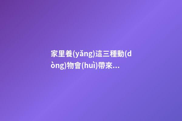 家里養(yǎng)這三種動(dòng)物會(huì)帶來(lái)好風(fēng)水