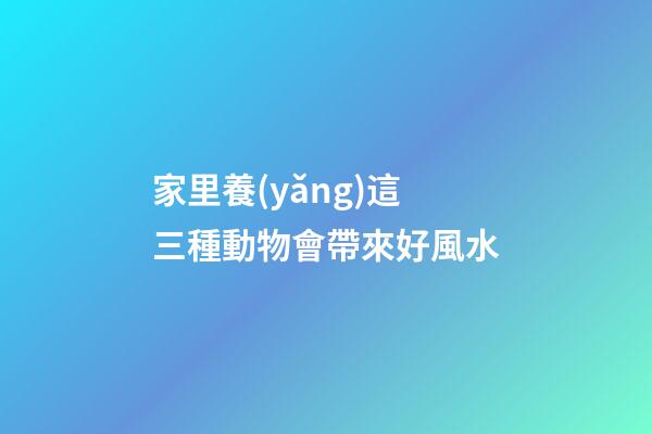 家里養(yǎng)這三種動物會帶來好風水