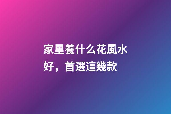 家里養什么花風水好，首選這幾款
