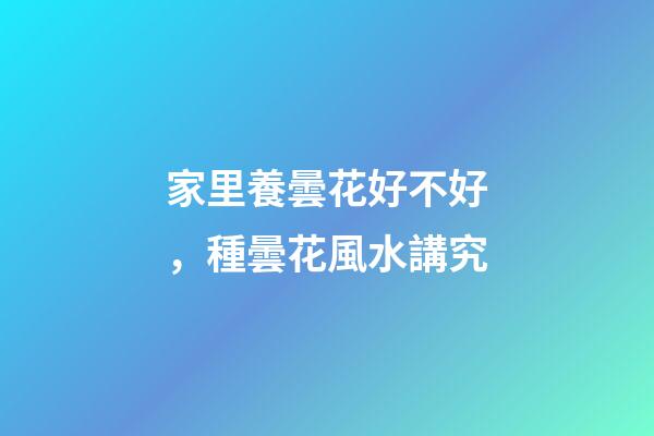 家里養曇花好不好，種曇花風水講究