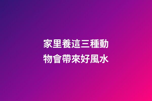 家里養這三種動物會帶來好風水
