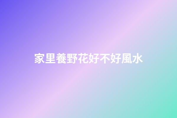 家里養野花好不好風水