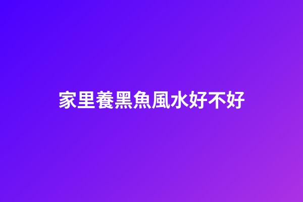 家里養黑魚風水好不好