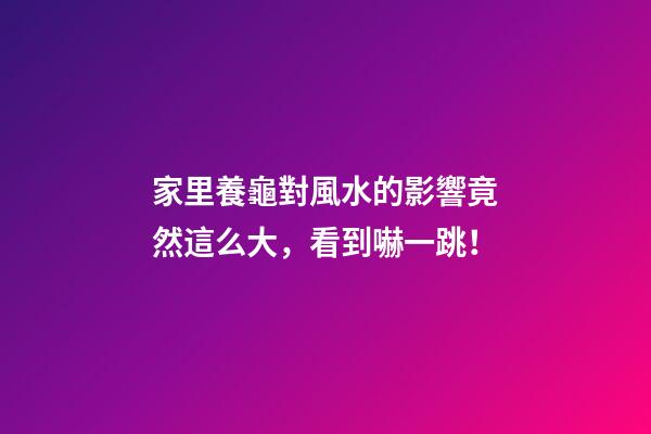 家里養龜對風水的影響竟然這么大，看到嚇一跳！