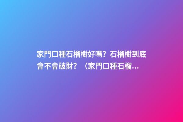 家門口種石榴樹好嗎？石榴樹到底會不會破財？（家門口種石榴樹好不好）