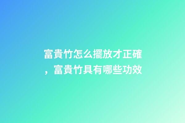 富貴竹怎么擺放才正確，富貴竹具有哪些功效