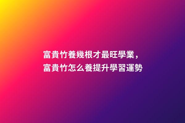 富貴竹養幾根才最旺學業，富貴竹怎么養提升學習運勢