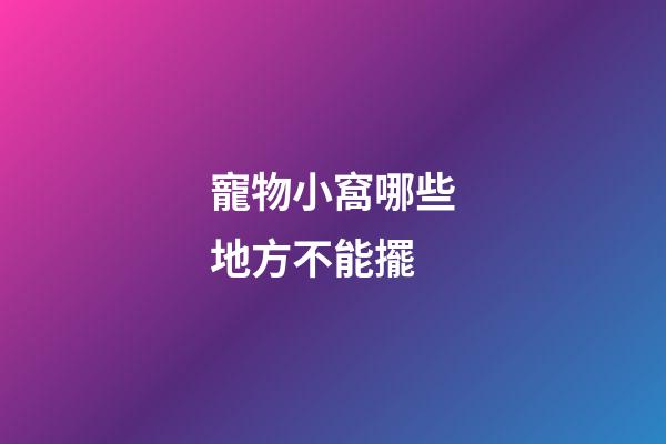 寵物小窩哪些地方不能擺