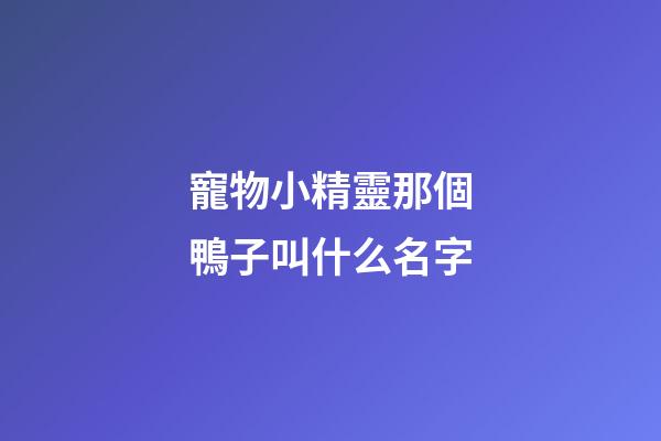 寵物小精靈那個鴨子叫什么名字