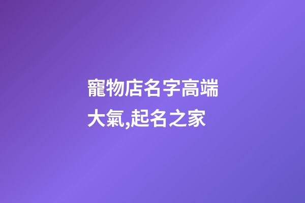 寵物店名字高端大氣,起名之家