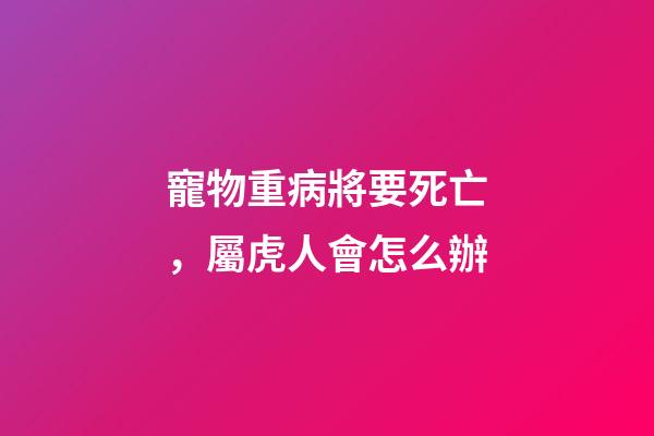 寵物重病將要死亡，屬虎人會怎么辦