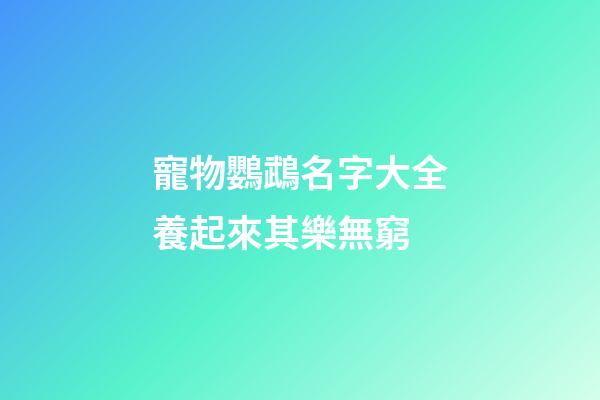 寵物鸚鵡名字大全養起來其樂無窮