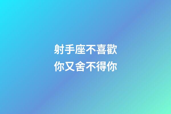 射手座不喜歡你又舍不得你-第1張-星座運勢-玄機派