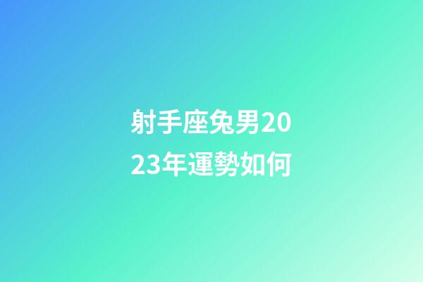 射手座兔男2023年運勢如何-第1張-星座運勢-玄機派