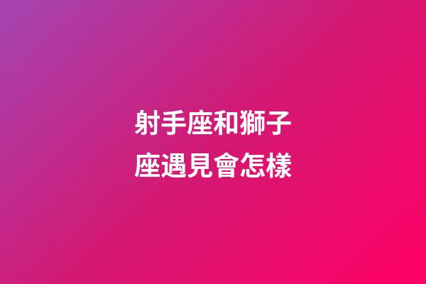 射手座和獅子座遇見會怎樣-第1張-星座運勢-玄機派