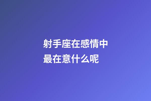射手座在感情中最在意什么呢-第1張-星座運勢-玄機派