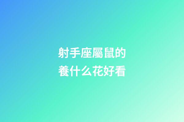 射手座屬鼠的養什么花好看-第1張-星座運勢-玄機派