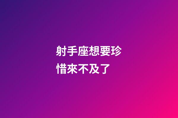 射手座想要珍惜來不及了-第1張-星座運勢-玄機派