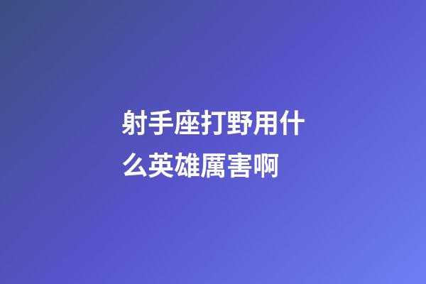 射手座打野用什么英雄厲害啊-第1張-星座運勢-玄機派