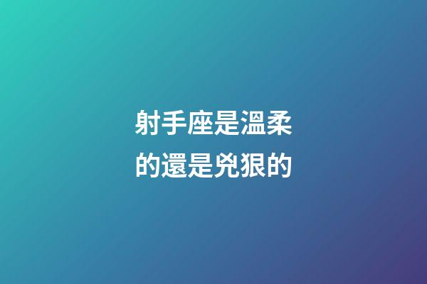 射手座是溫柔的還是兇狠的-第1張-星座運勢-玄機派
