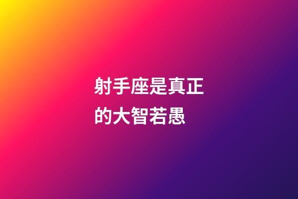 射手座是真正的大智若愚-第1張-星座運勢-玄機派