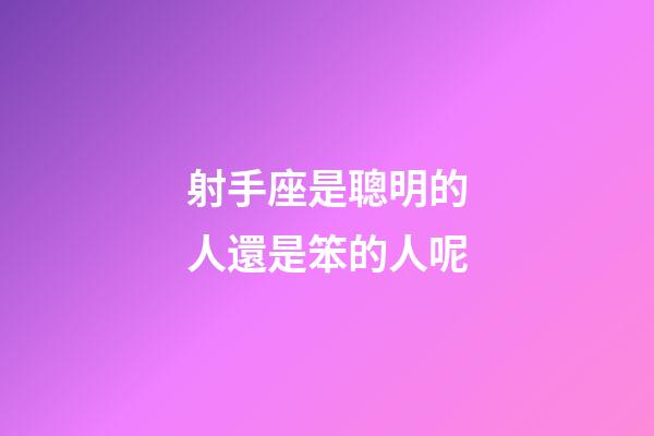 射手座是聰明的人還是笨的人呢-第1張-星座運勢-玄機派