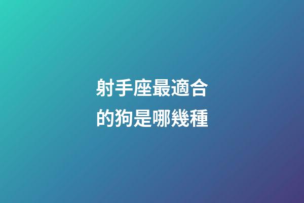 射手座最適合的狗是哪幾種