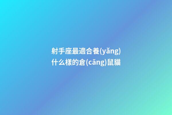 射手座最適合養(yǎng)什么樣的倉(cāng)鼠貓