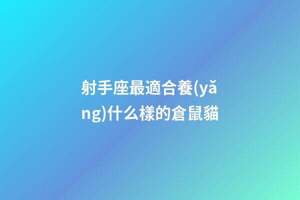 射手座最適合養(yǎng)什么樣的倉鼠貓