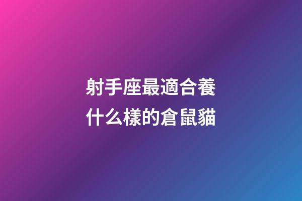 射手座最適合養什么樣的倉鼠貓