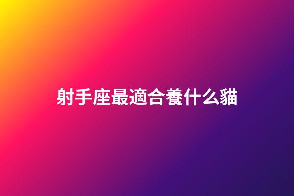 射手座最適合養什么貓-第1張-星座運勢-玄機派