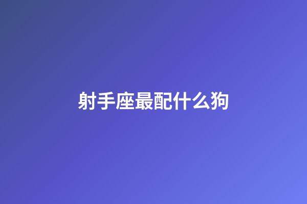射手座最配什么狗-第1張-星座運勢-玄機派