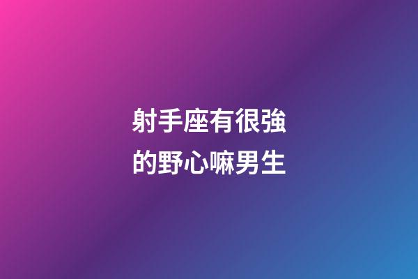 射手座有很強的野心嘛男生-第1張-星座運勢-玄機派