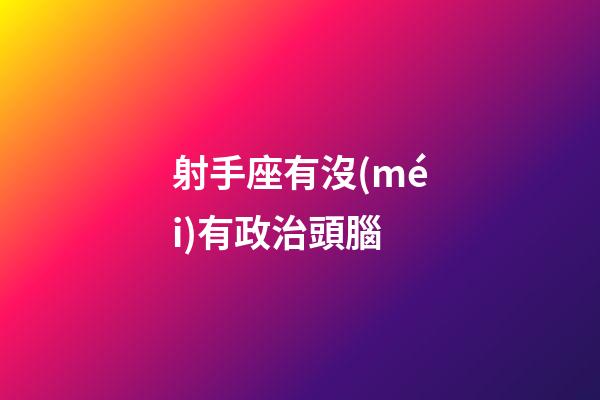 射手座有沒(méi)有政治頭腦-第1張-星座運(yùn)勢(shì)-玄機(jī)派