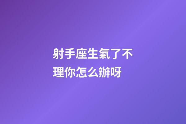 射手座生氣了不理你怎么辦呀-第1張-星座運(yùn)勢(shì)-玄機(jī)派