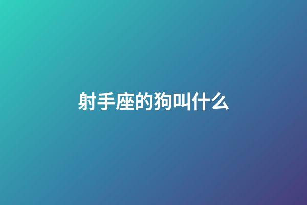 射手座的狗叫什么-第1張-星座運勢-玄機派