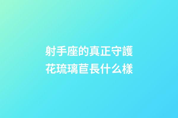 射手座的真正守護花琉璃苣長什么樣-第1張-星座運勢-玄機派
