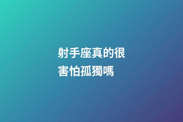 射手座真的很害怕孤獨嗎-第1張-星座運勢-玄機派